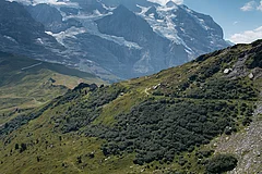 gt26_4