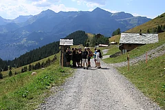 gt26_10